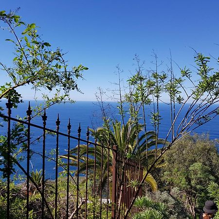 Villa Larnia De Tenerife Sauzal Exteriör bild