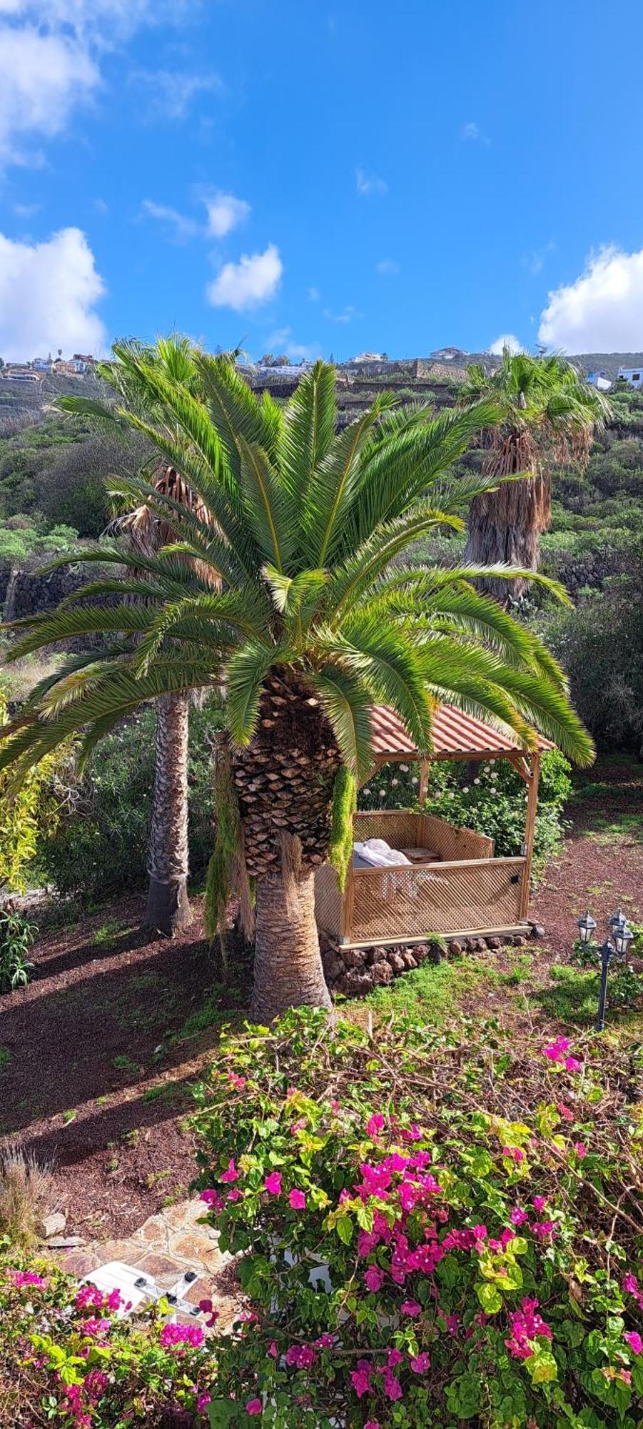 Villa Larnia De Tenerife Sauzal Exteriör bild