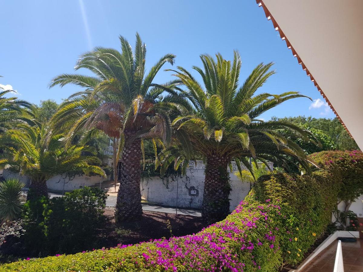 Villa Larnia De Tenerife Sauzal Exteriör bild