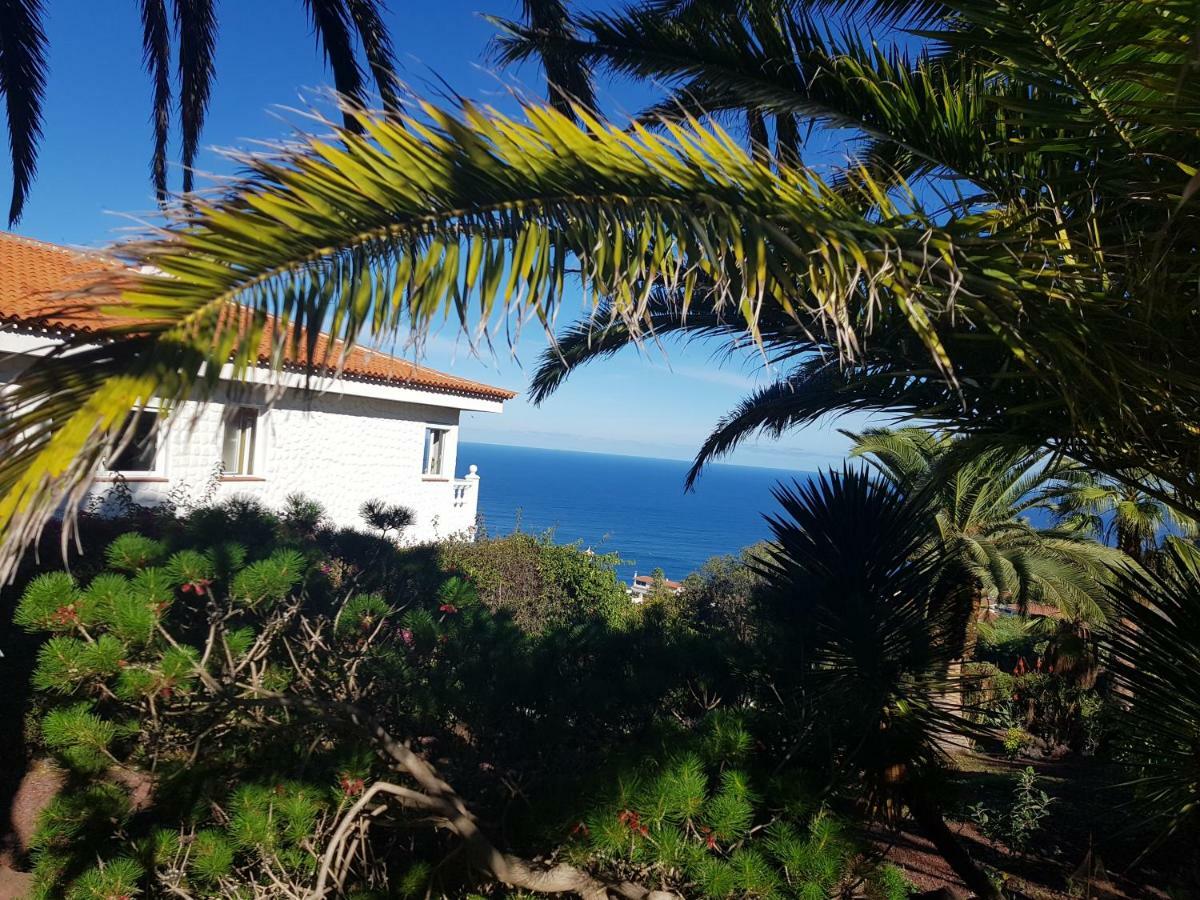 Villa Larnia De Tenerife Sauzal Exteriör bild